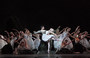 Photo 2 pour LE LAC DES CYGNES (COTE DIFFUSION)